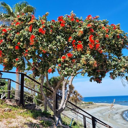 פומוס Astrofegia Beachfront Villa מראה חיצוני תמונה