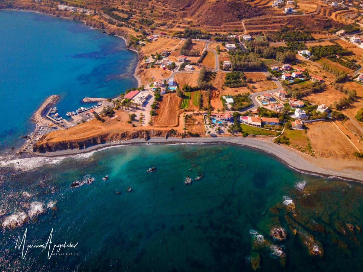 פומוס Astrofegia Beachfront Villa מראה חיצוני תמונה