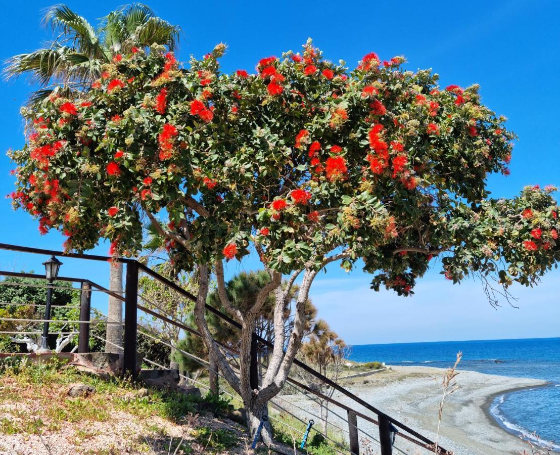 פומוס Astrofegia Beachfront Villa מראה חיצוני תמונה